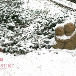 結婚指輪＆熊本店の雪☆